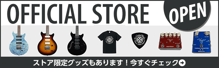 Kz Guitar Works Official Store